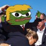 Фото профиля Donny