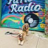 Profilbild von Organic Apple Radio