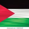 MUHAMMAD SALMAN's profile picture