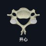 luo2431's profile picture