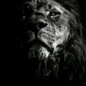 sherif 🇪🇬 profil fotoğrafı