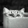 Profilbild von Norene