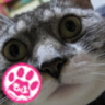 Profilbild von t-narikawa
