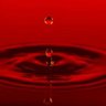 Profilbild von Waterdisport ๐บ๐ธ