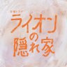 10月金曜ドラマ『ライオンの隠れ家』【公式】 profil fotoğrafı