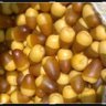 نائل مادري's profile picture