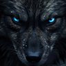 Keith the lonesome wolf 🐺 🐾 的头像