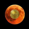Фото профиля LunarCoin