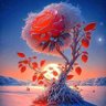 zahed 的头像
