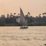 محمدالغزالي 的头像