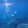 Фото профиля Point Break Surf Dude