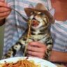 gOsti's profile picture