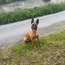 Profilbild von Mat