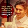 Sandeep Reddy 的头像