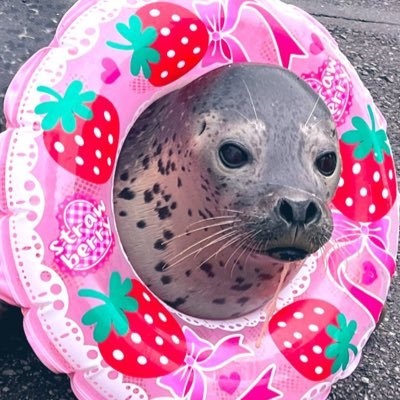 所's profile picture