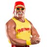 Фото профиля Hulkamania Dude 🇺🇸