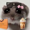 Evelyn's profile picture