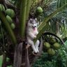 COCOTERO_2019 的头像
