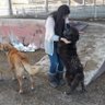 Kısaca hd profil fotoğrafı