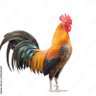 T-Mac's profile picture