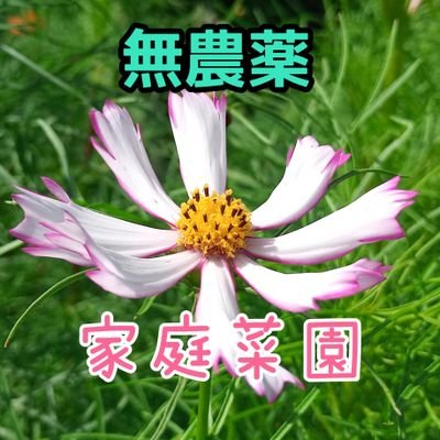 SWbU6zNcTYJaE4Z's profile picture