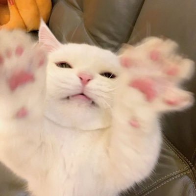 inspoaja's profile picture