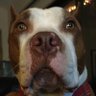 Profilbild von Zeus