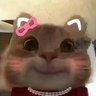 李世民's profile picture