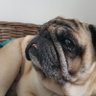 Fetch profil fotoğrafı