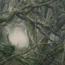 Mirkwood's profile picture