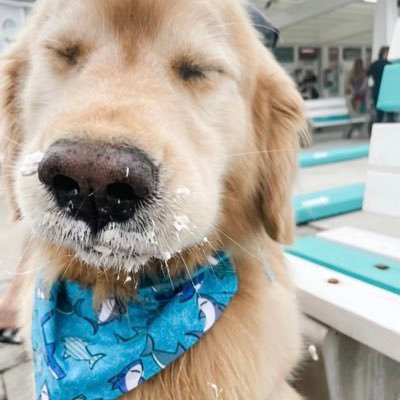 xuendb's profile picture