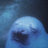 M@復活の眠い人 profil fotoğrafı