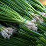 Фото профиля Whatsascallion