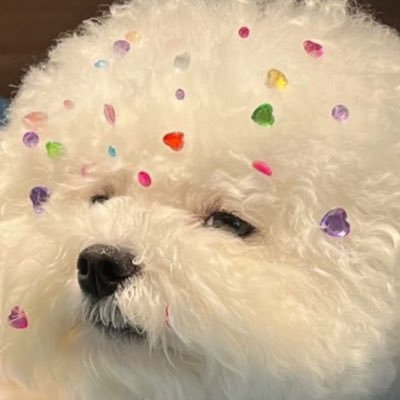 pp's profile picture