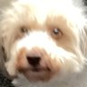 Profilbild von Philly