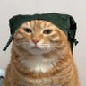 maopaku's profile picture