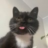 małrycy⚓️'s profile picture