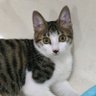 Elliot_Sheh profil fotoğrafı