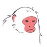 Profilbild von kizzagarhu