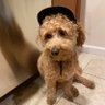 Taty's profile picture