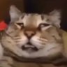 Profilbild von Blue2503