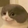 Profilbild von fong