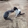 Фото профиля I love you