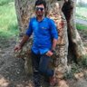 Profilbild von bapan kumar