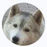Aribrand's profile picture