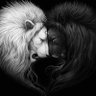 Profilbild von Dragon
