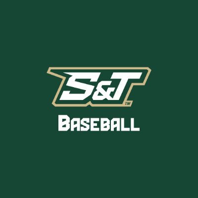 S&T Baseball ⛏'s profile picture