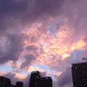 贾浅浅 的头像