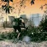 Mohammad AL Zain profil fotoğrafı