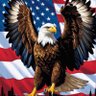 Allan USA 🇺🇸 的头像